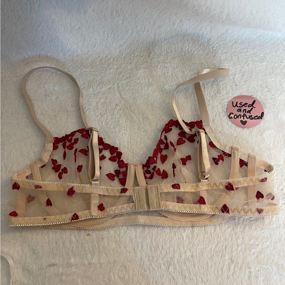 Embroidered Red Heart Sheer Bra - Picture 5 of 5